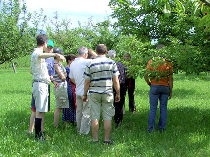 Obstgarten